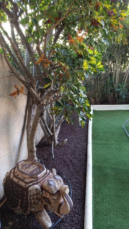Apartamento Con Jardin Y Piscina En El Balancon Apartman El Médano Kültér fotó
